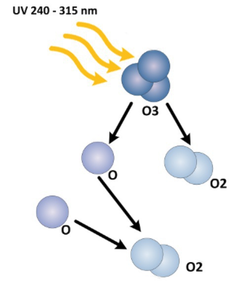 69899a9848398.png image.png